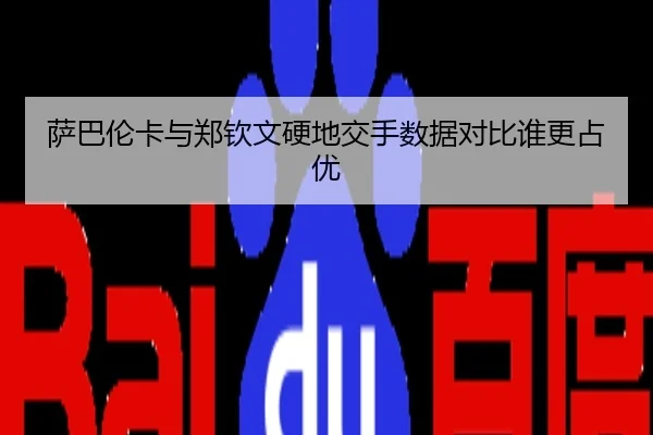 萨巴伦卡与郑钦文硬地交手数据对比谁更占优